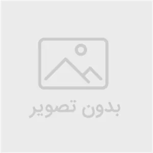 دیس هتلی گرد 32 زرین