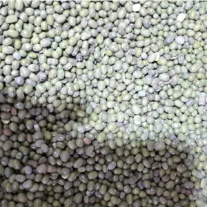 ماش فله ای ممتاز ایرانی