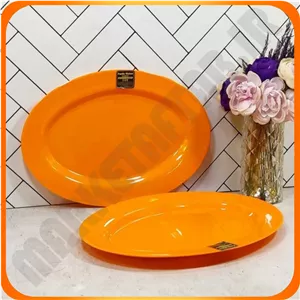 T421 دیس بزرگ نارنجی پردیس ماهان