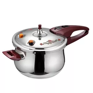 زودپز گازی 3 لیتر آیکو مدل AK501PC