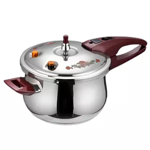 زودپز گازی 4.4 لیتر آیکو مدل AK502PC
