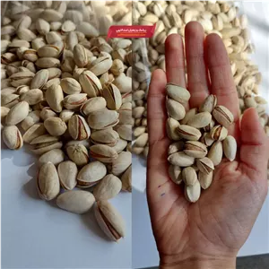 پسته خام نیم کیلویی