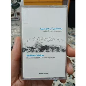 به تماشای آبهای سپید، حسین علیزاده و گاسپاریان