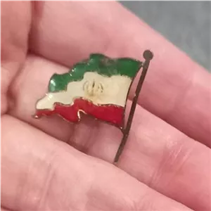 بچ وسنجاق سینه