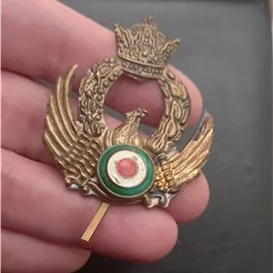 ارم نیروی دریایی