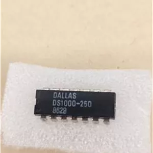 آی سی DS1000-250