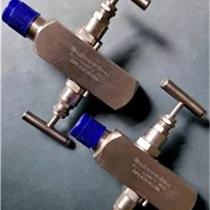 منیفولد 2 راهه استنلس استیل Oliver Valves