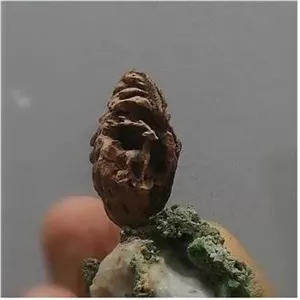 مجسمه هنری آهو مینیاتوری