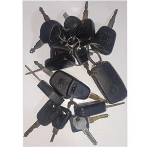 تعدادی سوییچ انواع خودرو