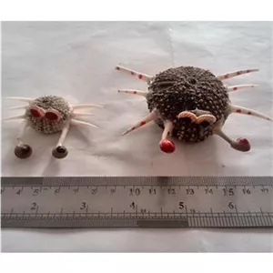 دکوری قدیمی با صدف و مهره طرح خرچنگ