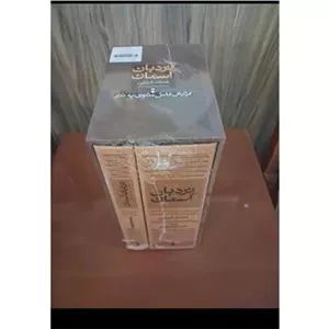 نردبان آسمان شرح مثنوی به نثر(امانت)