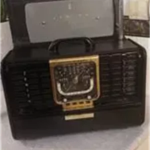 رادیو حرفه ای زنیت