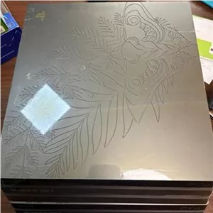 PS4 Pro The Last of Us Part II