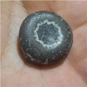 فسیل سنگ جذاب