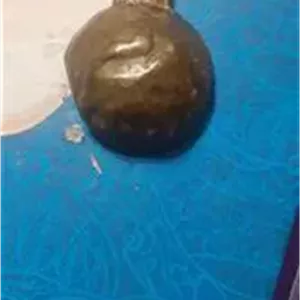 زنگوله مسی شیر نشان