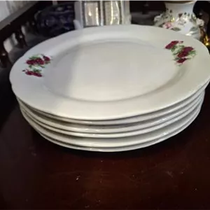 6 عدد پیش دستی چینی گل سرخی 19 سانتی