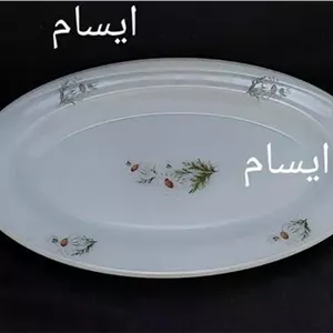 دیس بیضی ارکوپال بابونه