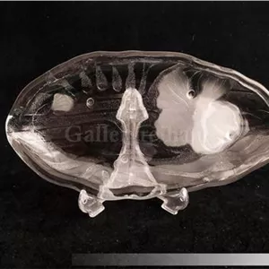 دیس بلوری یا خرما خوری طرح گل شقایق دورنگ (51338)