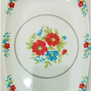 یک عدد دیس ملامین شمال