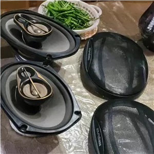 بلند گو ماشین بیضی sond bass