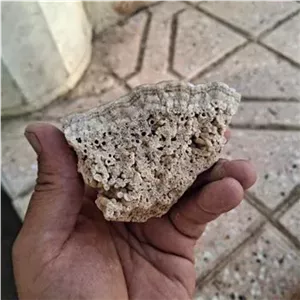 سنگ رسوبی قدمت بالا