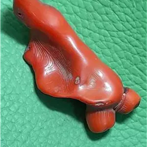 سنگ مرجان دریایی طبیعی کلکسیونی و آنتیک