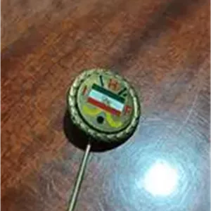 بج سینه فدراسیون هاکی ایران