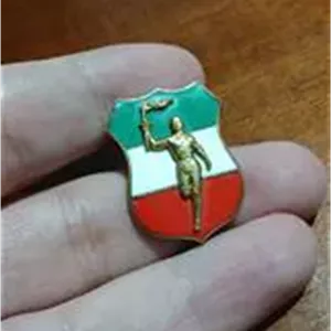 بج سینه یادبود مشعل المپیک ایران