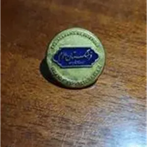 بج سینه فرهنگستان علوم