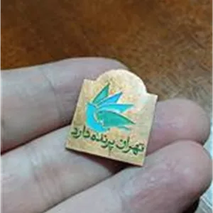 بج سینه تهران پرنده دارد