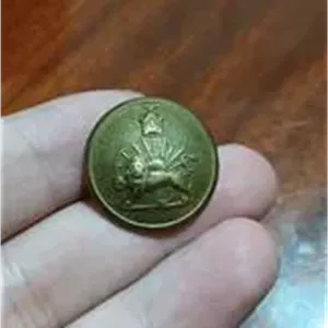 دکمه شیروخورشید پشت تاج
