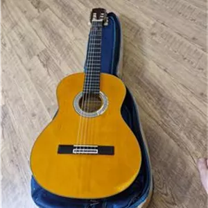 گیتار آریا مدل AK-20