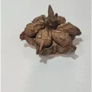 دوات دان و مرکب دان قدیمی و خاص 