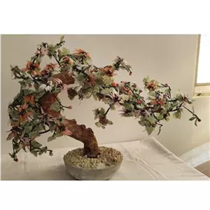 درختچه سنگی بزرگ قدیمی