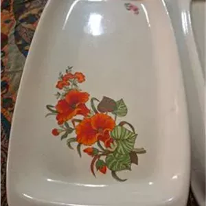 یک جفت دیس زیبای رومانیایی