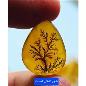 اشکی تک درخت خاص باب گردنبند