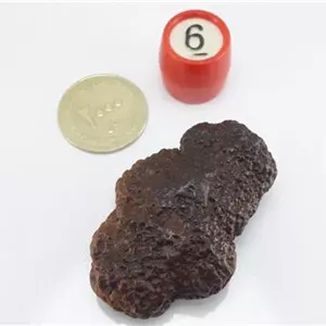 سنگ مشکوک به شهاب سنگ تاولی و پوسته سوخته
