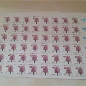 ورق 48 تایی گل ثعلب اندازه بزرگ 1394