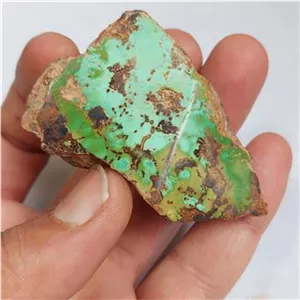 سنگ کلکسیونی فیروزه شجر سبز نیشابوری