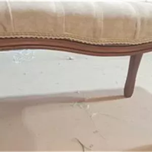 پاف خوش رنگ