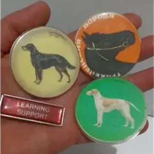 بچ سنجاق سینه قدیمی