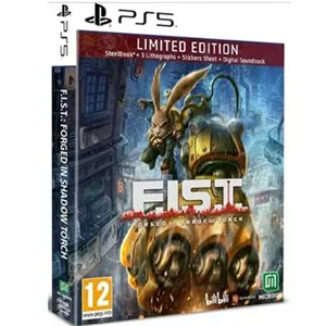بازی FIST FORGED IN THE SHADOW PS5