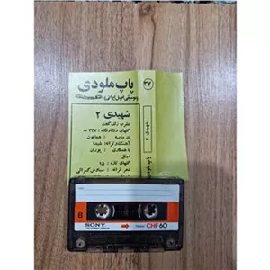 کاست شهیدی 2