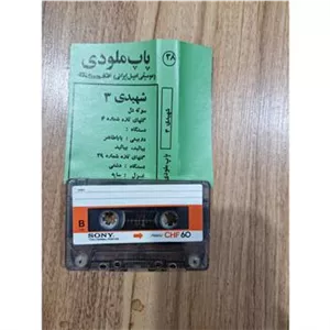 کاست شهیدی 3