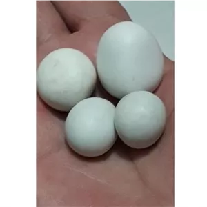 4عدد سنگ آسیاب یا سنگ گبری با درجه سختی بالا 