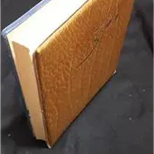 دفتر نایاب خاطرات و عقاید محمد مقیمی کلکسبونی