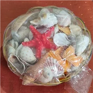 سبد صدف دکوری و تزئینی و هدیه با کد تخفیف 200هزاری