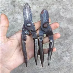 جفت قیچی قند شکن کلکسیونی ژاپن