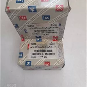 هرزگرد دینام 206 T1 و تیپ 5 اورجینال توضیحات