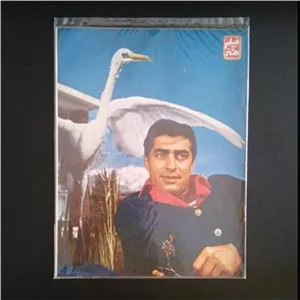 مجلهاورجینال  فیلم و هنر بهمراه پوستر رنگی